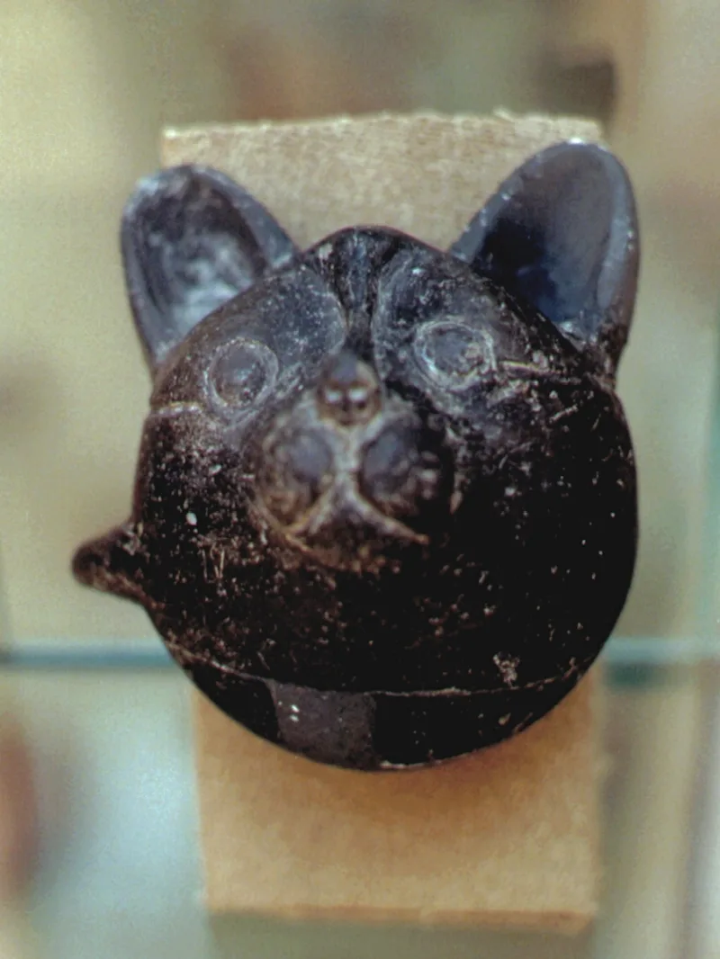 알리샤르-히유크 — 아나톨리아의 고대 텔: 역사와 방문기