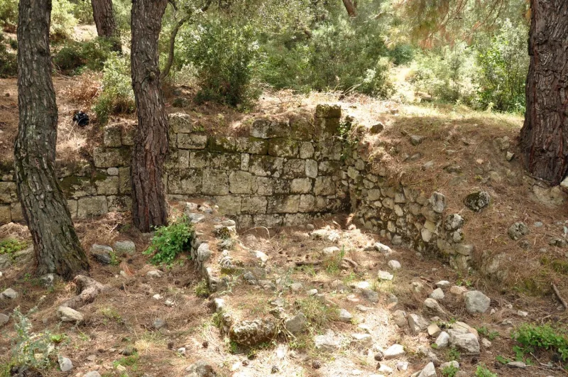 콜로폰(Colophon) — 이즈미르 인근의 고대 이오니아 도시