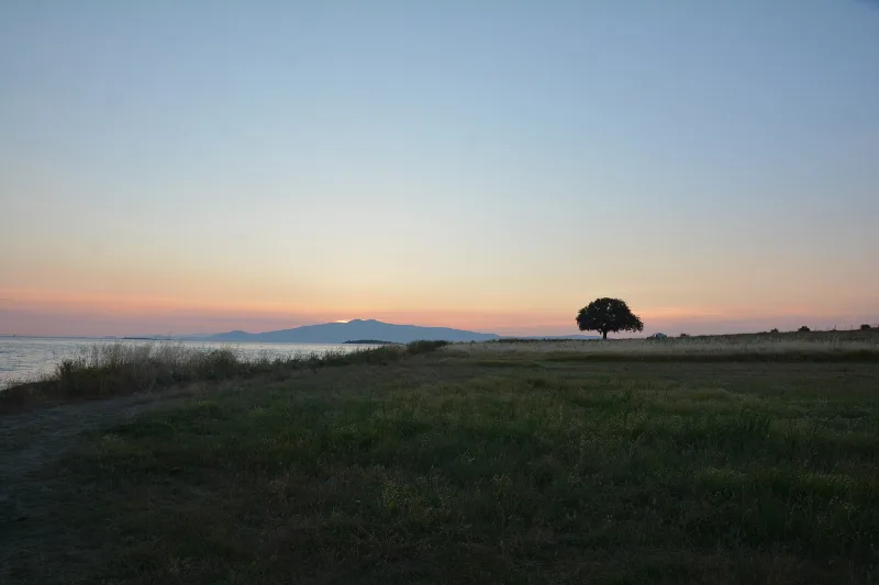 그리네이온(Gryneion) — 이즈미르 알리아가(Aliağa)에 위치한 아폴론 신탁소