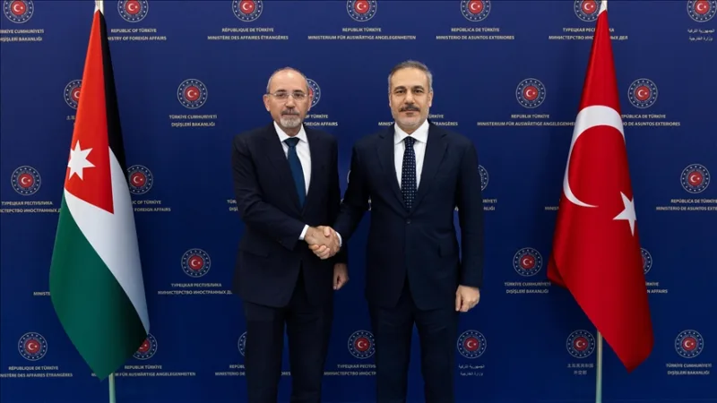 菲丹部长与约旦外交大臣萨菲迪讨论巴勒斯坦局势