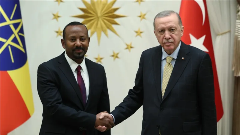Der Besuch von Präsident Erdoğan in Äthiopien: Neues geopolitisches Gleichgewicht am Horn von Afrika