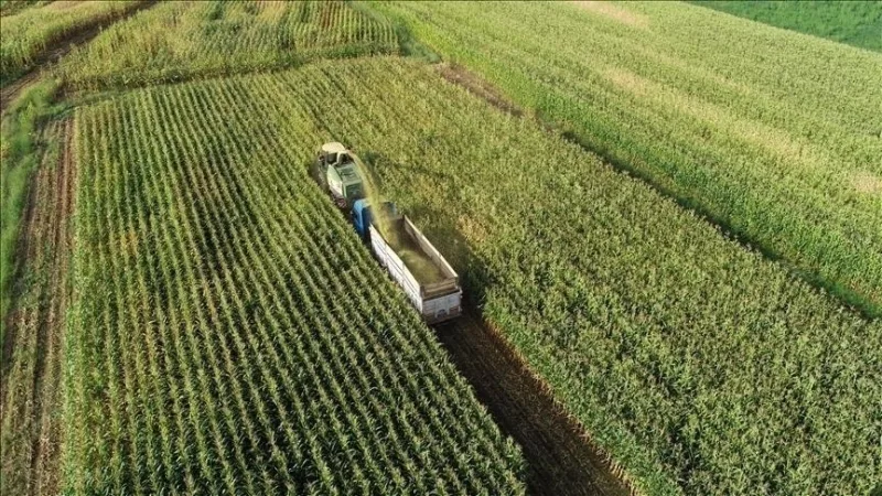 Byly stanoveny zásady týkající se ochrany a využívání zemědělské půdy